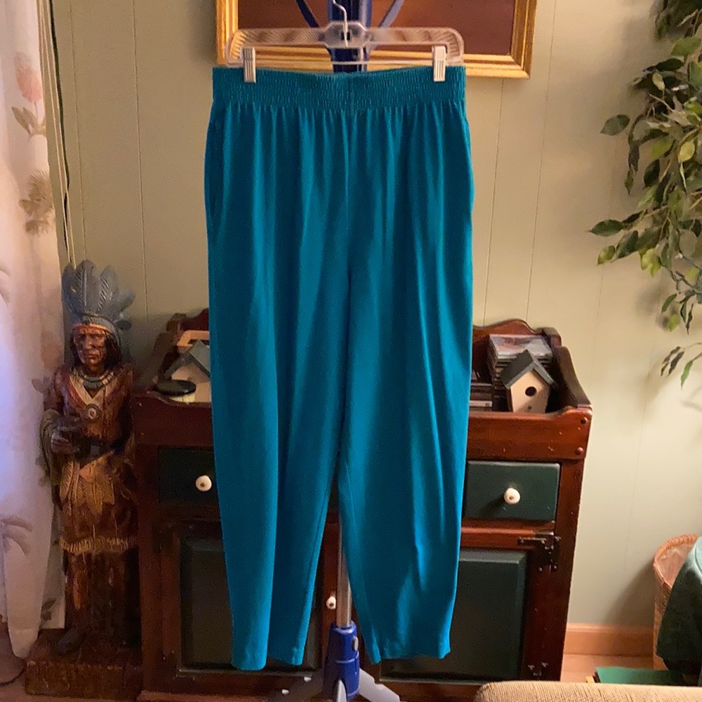 Double Take elastic waist pull on pants 18W